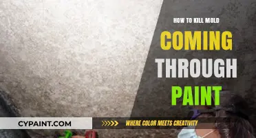 Effective Ways to Eliminate Mold Growing Through Paint Surfaces