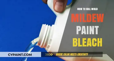 Effective Ways to Kill Mold and Mildew with Paint and Bleach