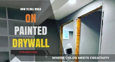 Effective Ways to Eliminate Mold on Painted Drywall Surfaces
