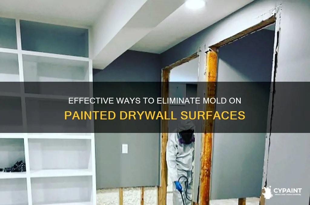 how to kill mold on painted drywall