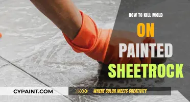 Effective Ways to Eliminate Mold on Painted Sheetrock Surfaces