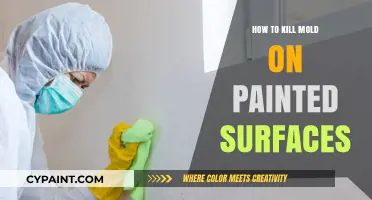 Effective Mold Removal Techniques for Painted Walls and Surfaces
