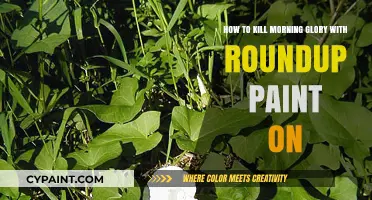 Eradicating Morning Glory: Roundup Paint's Power