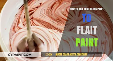 Transforming Semi-Gloss to Flat: A Guide to Killing Shine
