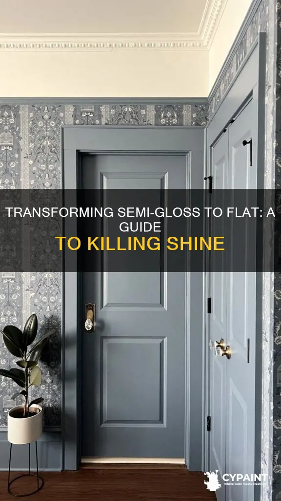 how to kill semi gloss paint to flait paint