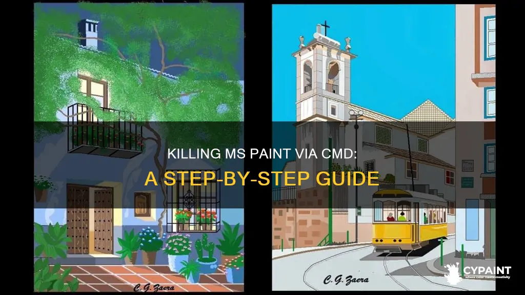 how to kill the ms paint application through cmd