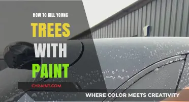 Harmful Effects of Paint: How to Accidentally Kill Young Trees