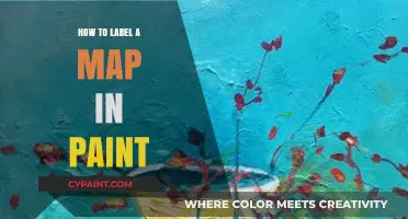Master Map Labeling: A Simple Guide Using Paint Tools