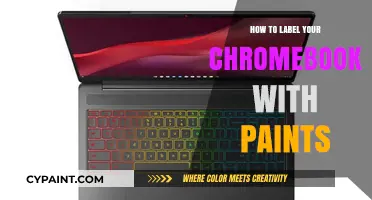 Creative Chromebook Customization: Painting Personalized Labels for Your Device