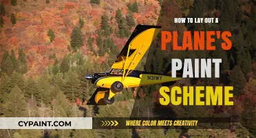 Designing Plane Paint Schemes: A Step-by-Step Guide