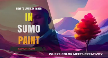 Master Image Layering in Sumo Paint: A Step-by-Step Guide