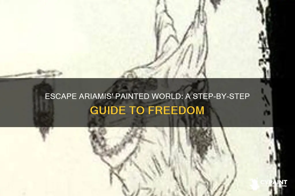 how to leave the painted world of ariamis