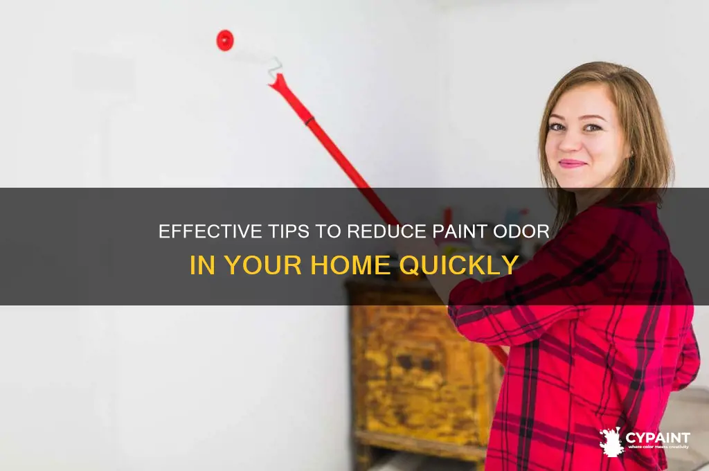 how to lessen the smell of paint