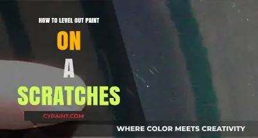 Mastering Paint Touch-Ups: Smoothly Level Scratches Like a Pro
