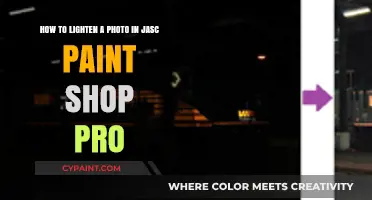 Enhance Your Images: Lightening Photos in JASC Paint Shop Pro