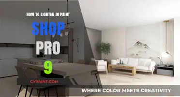 Mastering Paint Shop Pro 9: Easy Techniques to Lighten Images