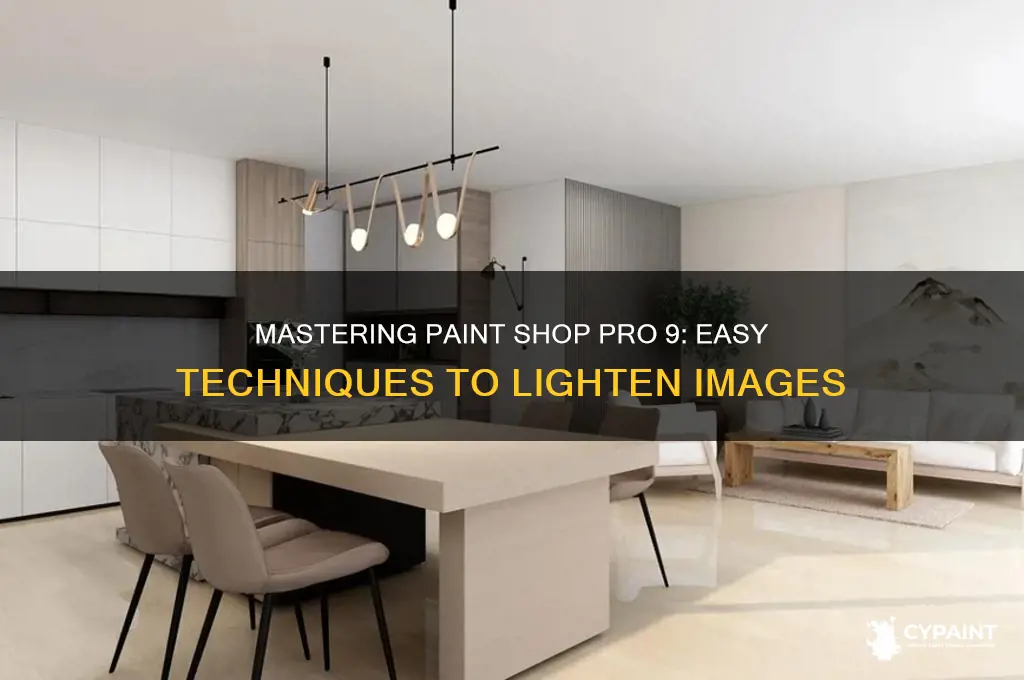 how to lighten in paint shop pro 9