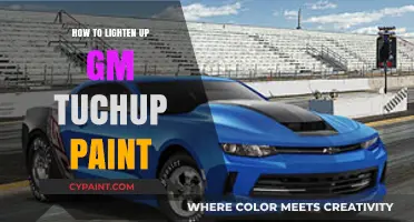 Easy Tips to Lighten GM Touch-Up Paint for Seamless Repairs