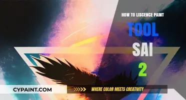 Licensing Paint Tool SAI 2: A Step-by-Step Guide for Artists