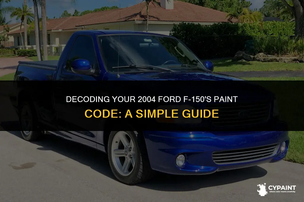 how to locate ford f-150 paint code on a 2004