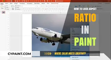 Mastering Paint: Lock Aspect Ratio for Perfect Image Resizing