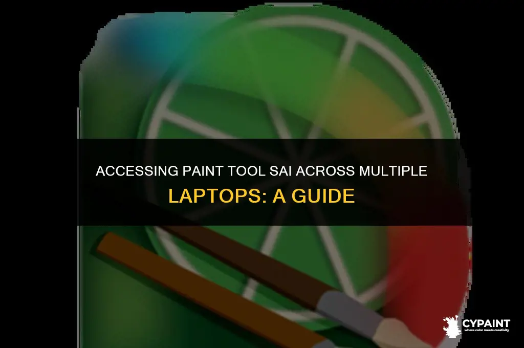 how to log into paint tool sai onto other laptyops