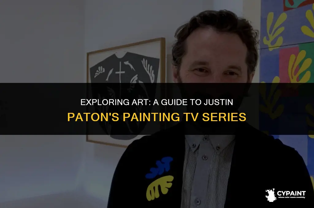 how to look at a painting justin paton tv series