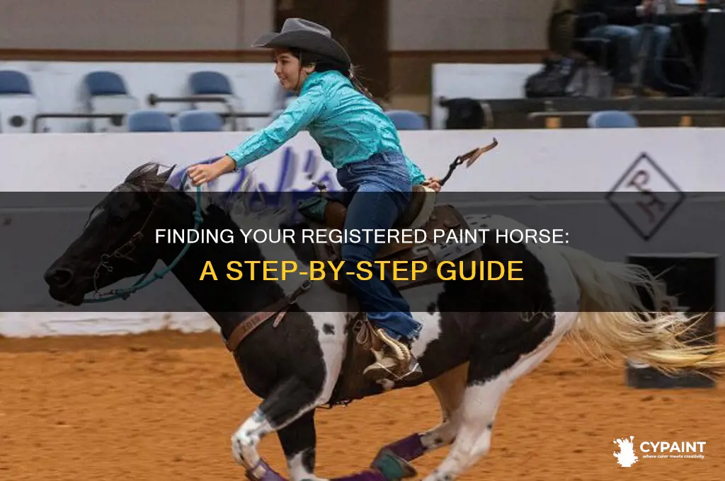 how to look up a registered paint horse