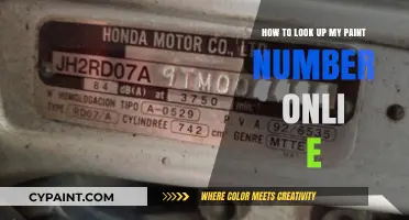 Easy Ways to Find Your Paint Number Online