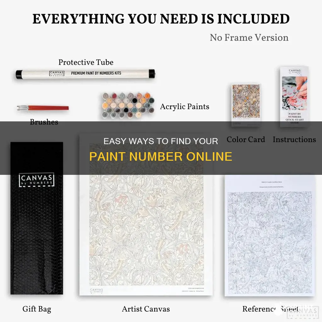 how to look up my paint number onli e