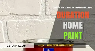 Effortless Lid Removal: Sherwin-Williams Duration Paint Hacks
