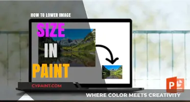 Reduce Image Size Easily: Quick Paint Tips for Smaller Files