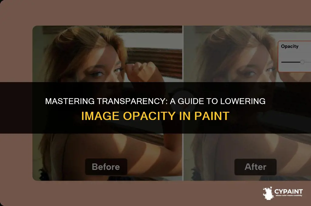 how to lower the opacity of an image in paint