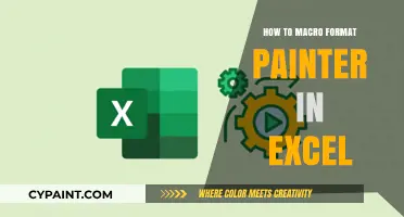 Master Excel's Macro Formatter: Efficiently Paint Your Data with Precision