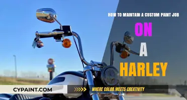 Rev Up Your Ride: Expert Tips for Maintaining Your Harley's Custom Paint Job