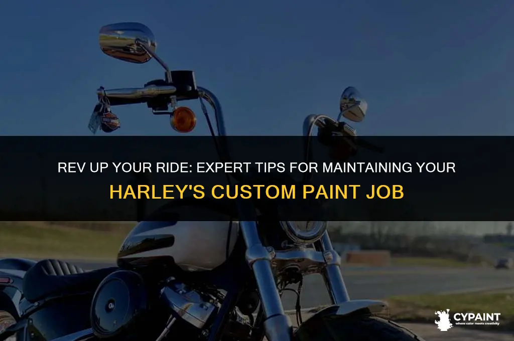 how to maintain a custom paint job on a harley