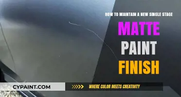 Expert Tips: Preserving the Pristine Look of Single-Stage Matte Paint