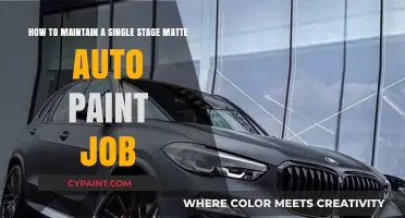 Expert Tips: Maintaining Your Single Stage Matte Auto Paint Job