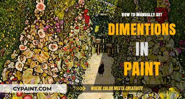 Mastering Paint: A Step-by-Step Guide to Setting Custom Dimensions