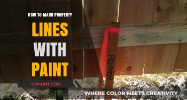 Easy DIY Guide: Marking Property Lines with Paint Accurately