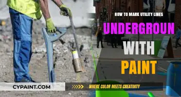 Marking Underground Utility Lines: A Step-by-Step Guide to Using Paint