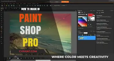Mastering Masking Techniques in PaintShop Pro for Seamless Edits