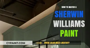 Mastering Paint Matching: A Guide to Sherwin-Williams Color Accuracy
