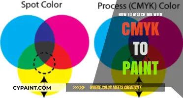 Mastering CMYK to Paint Matching: A Guide for Perfect Ink Pairing