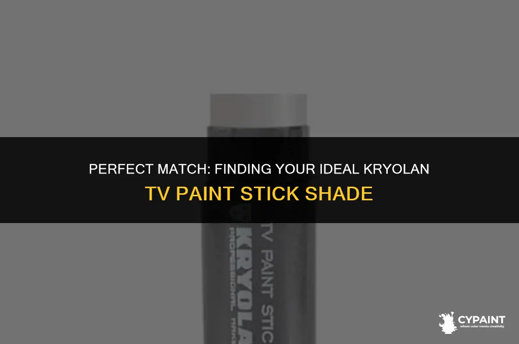 how to match my skin tone kryolan tv paint stick