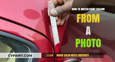 Mastering Paint Matching: Extracting Accurate Colors from Your Photos