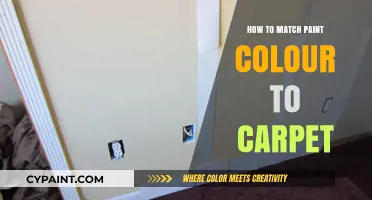 Perfect Pairing: Tips for Matching Paint Colors to Your Carpet