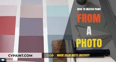 Mastering Paint Matching: Tips to Match Colors from Photos Accurately