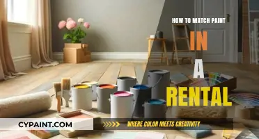 Perfect Paint Matching for Rentals: Tips to Blend Seamlessly in Your Home