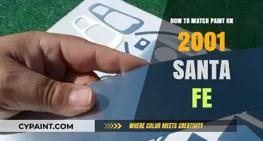 Perfect Paint Match for Your 2001 Santa Fe: Tips and Tricks